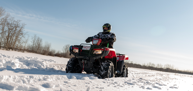 ATVS/Quads image 1